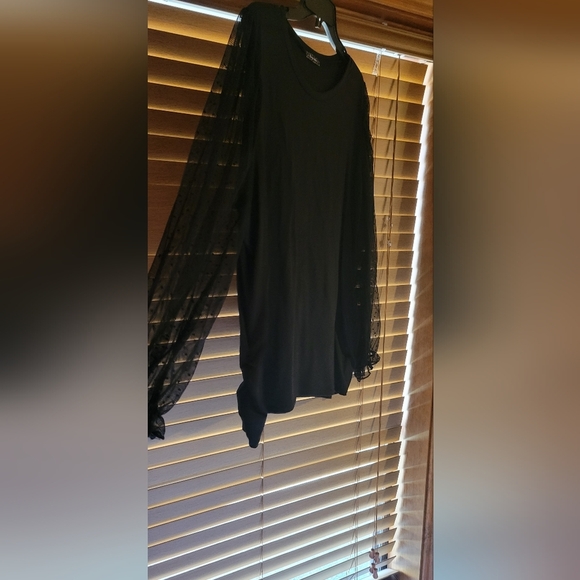 Storyteller Sheer Long Sleeve Top Size 2x Black - Picture 2 of 6